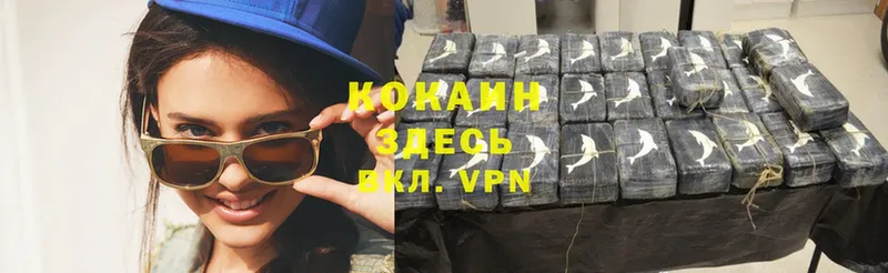 МЕГА ссылки  Богданович  Кокаин VHQ 